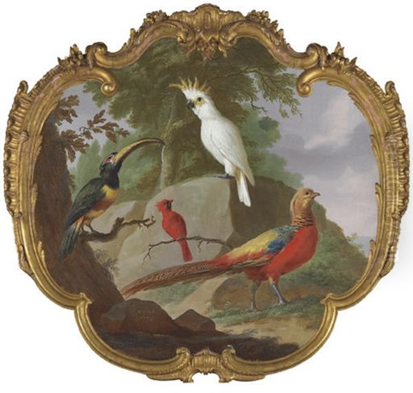 A Sulphur-crested Cockatoo, A Golden Pheasant, A Cardinal And A Toucan In A Landscape - view 1