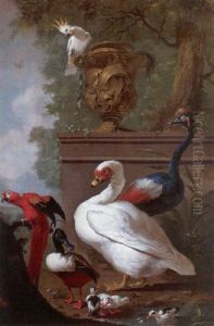 A Muscovy Duck, A Scarlet Macaw, A Sulphur-crested Cockatoo, A Crowned Crane And A Shoveller With Chicks by Jacobus Vonck