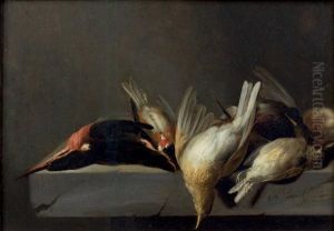 Nature Morte Aux Oiseaux by Jan Vonck