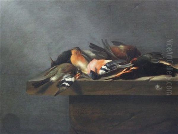 Dead Birds On A Stone Ledge - view 1