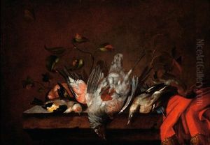 Still Life With Dead Birds by Jan Vonck