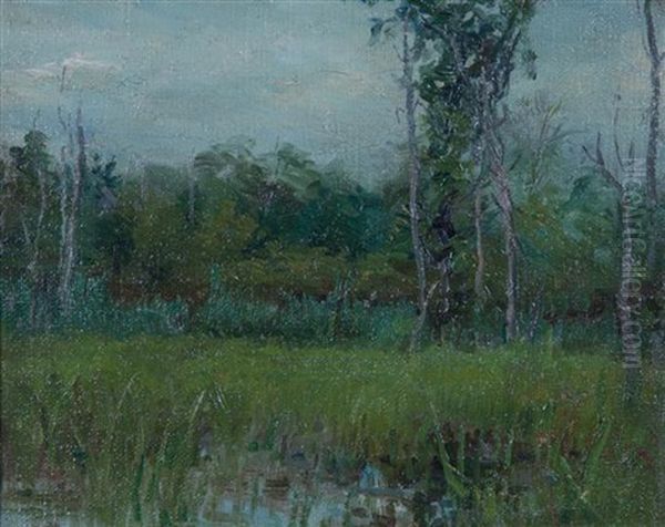 Landscape - view 1