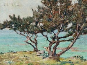 Coastal View (bermuda?)