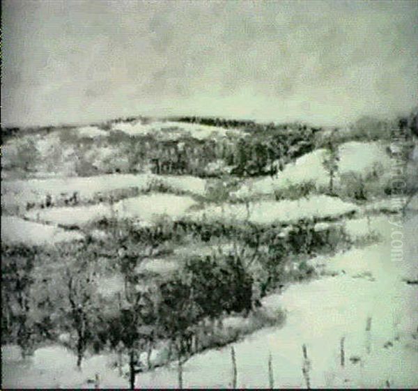 More Snow Coming - view 1