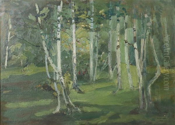 Birkenwald - view 1