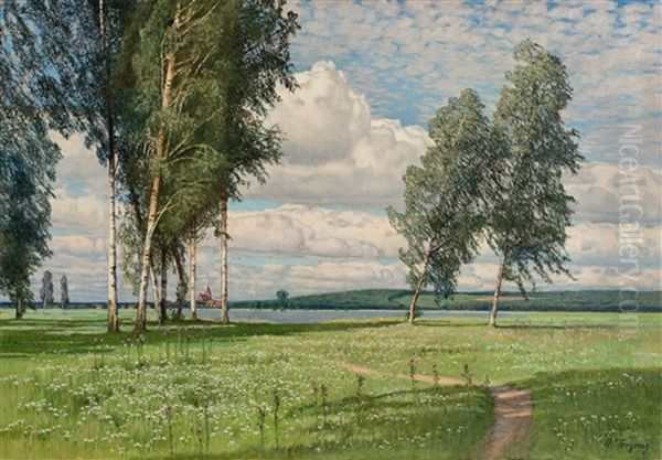 Sommerlandschaft Mit Birken Am See - view 1