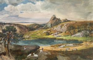 Landscape Landscape