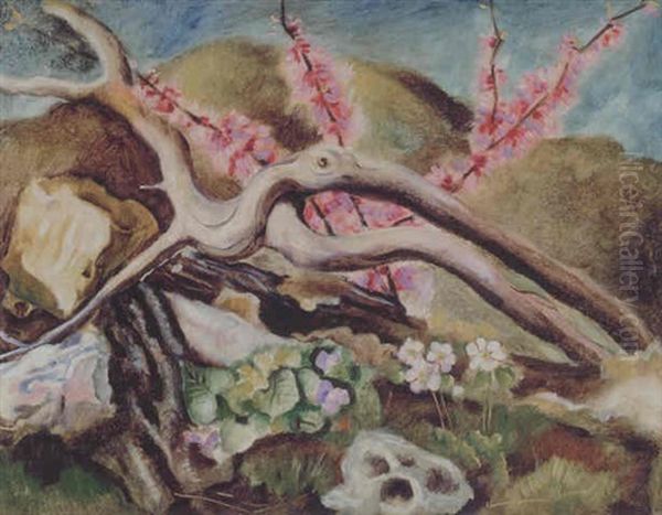 Wildflowers - view 1