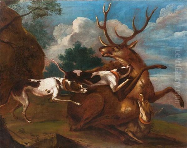 Drei Jagdhunde Stellen Einen Hirsch In Abendlicher Landschaft - view 1