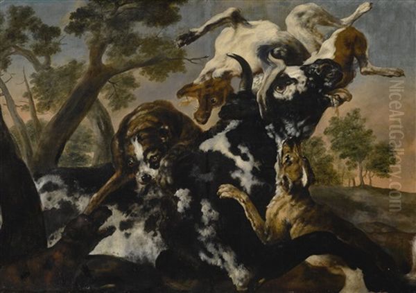 Three Dogs Attacking A Cow - view 1