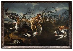 Butor Et Canards Attaque Par Deux Chiens