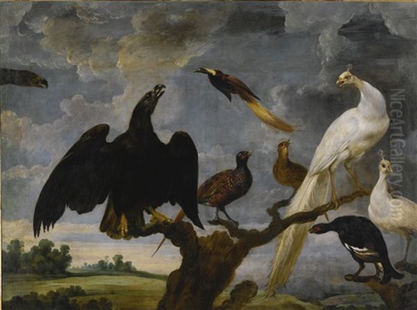 A Concert Of Birds Including An Eagle, A White Peacock And A Bird Of Paradise - view 1