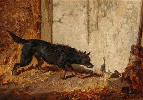 Dog Ratting - view 1
