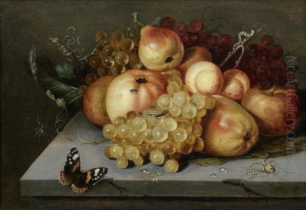 Apples, Grapes, Pears And Apricots On A Stone Ledge With A Butterfly And Spiders Nearby - view 1