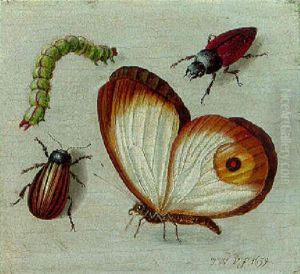 A Butterfly, Two Beetles And A Caterpillar by Jacob Woutersz Vosmaer