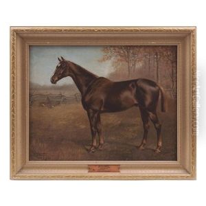 Caballo Dr. Hellsworth