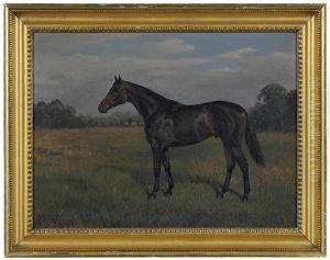 Bay Horse In A Field by Franklin Brook Voss