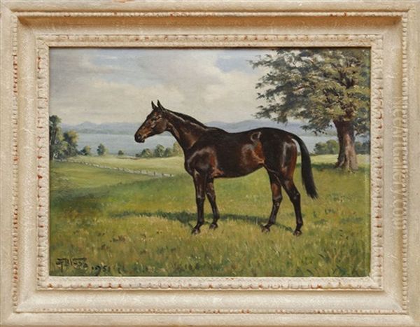 Dark Bay Mare - view 1