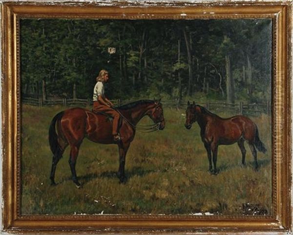 Two Fenced Bay Horses And Rider - view 1