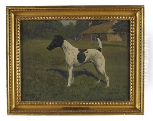 Champion Desert Deputy, A Jack Russell - view 1