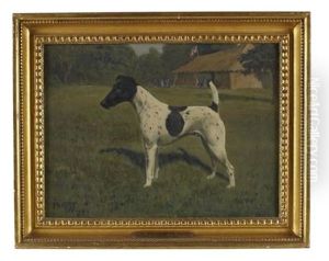 Champion Desert Deputy, A Jack Russell