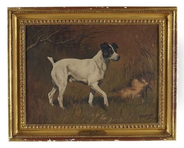 Boxer Iind, A Jack Russell - view 1
