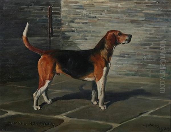 Belvoir Rummager - Hound - view 1