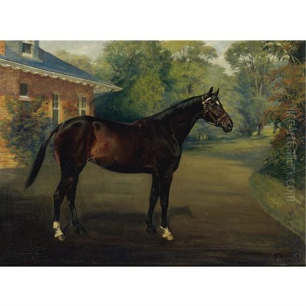 A Bay Horse Outside A Home - view 1