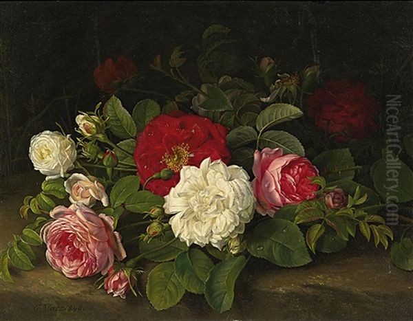 Rosenstillleben - view 1