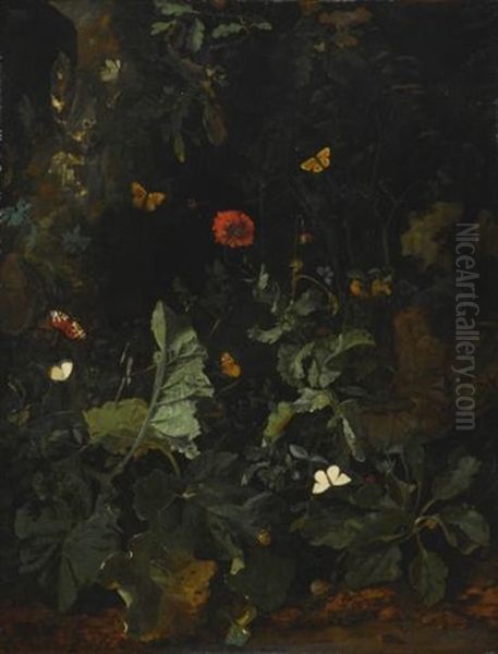 A Forest Floor Still Life With Flowering Plants And Butterflies - view 1