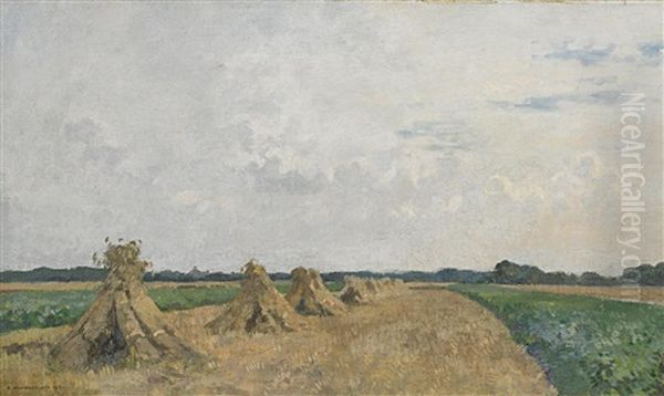 Felderlandschaft Im Spatsommer - view 1