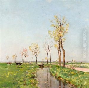 Weiland Met Koeien, Mogelijk Omgeving Woerden Weiland Met Koeien, Mogelijk Omgeving Woerden