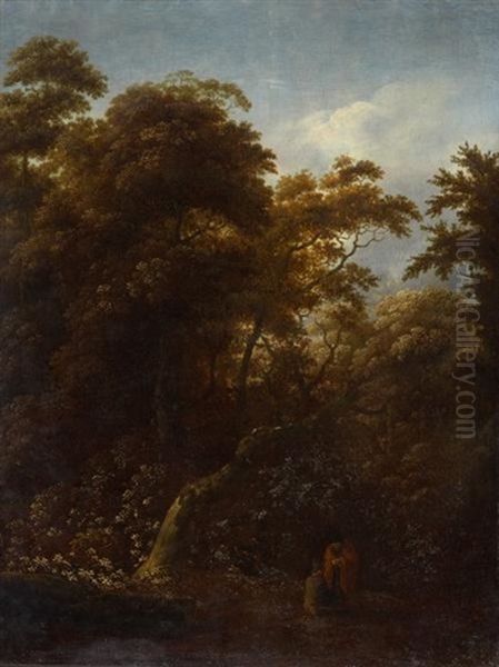 Waldlandschaft - view 1