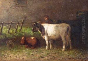 Boer Met Koe En Kalf Bij Een Hek