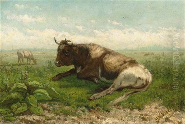 Resting Cow - view 1