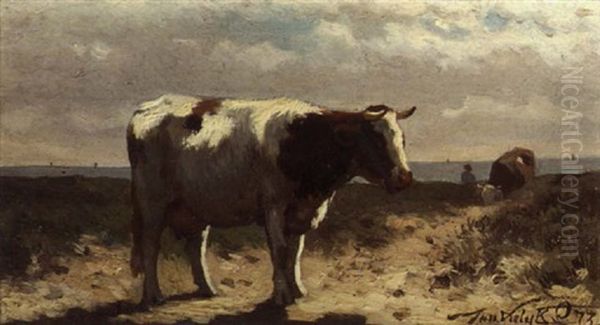 A Cow In A Field - view 1