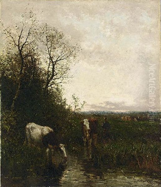 Cows At Pasture - view 1