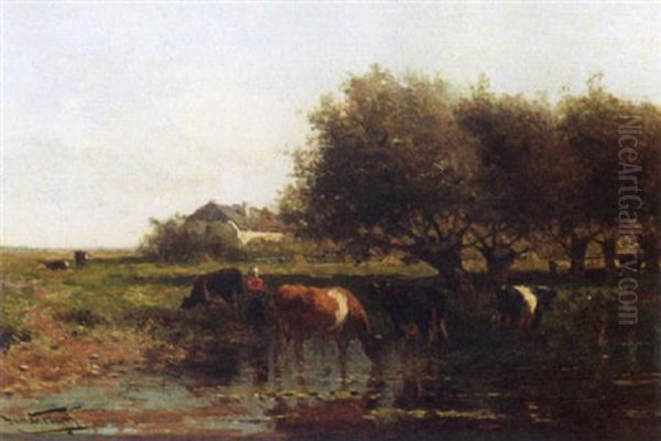 A Figure And Cows In A Polderlandscape - view 1