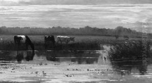 Weidende Kuhe Am Wasser In Polderlandschaft by Jan Vrolijk
