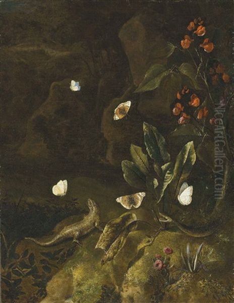 A Forest Floor With A Lizard, A Snake, Butterflies And A Bleeding Heart - view 1