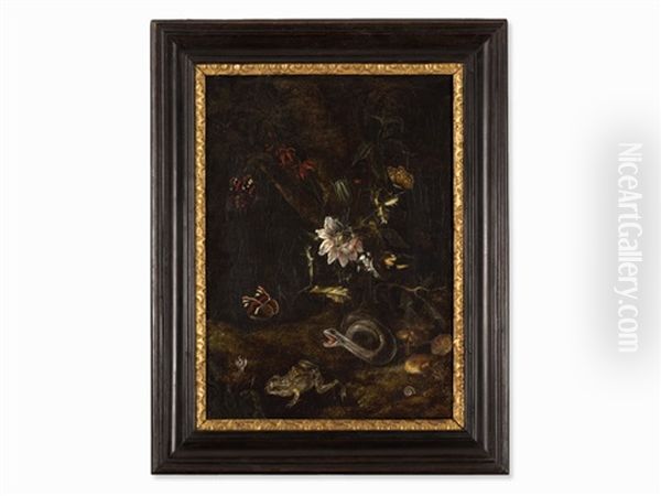 Still Life - view 1