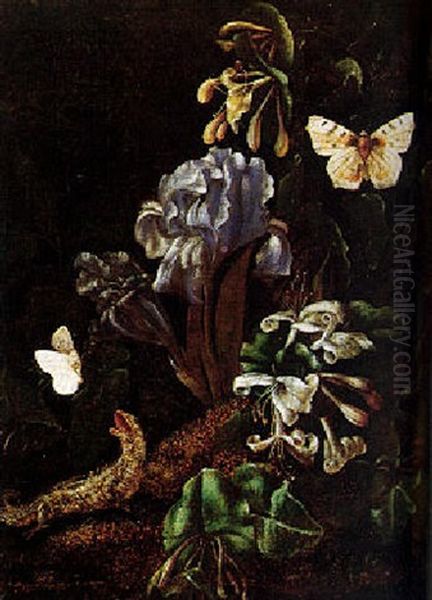 Still Life Of A Forest Floor With Flowers, Lizard And Butterflies - view 1