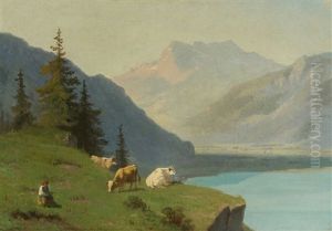 Blick Oberhalb Montreux Gegen Die Rhoneebene Und Die Dents Du Midi