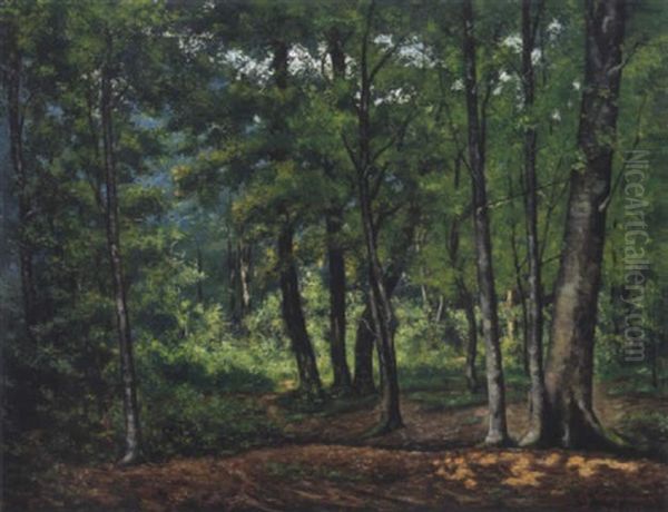 Sommerliche Waldlandschaft - view 1