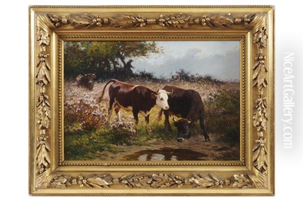Watering Cows - view 1