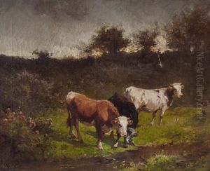 Vacas Pastando Vacas Pastando