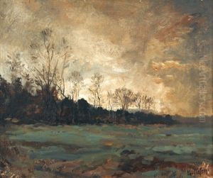 Waldrand Mit Bewolktem Himmel Waldrand Mit Bewolktem Himmel
