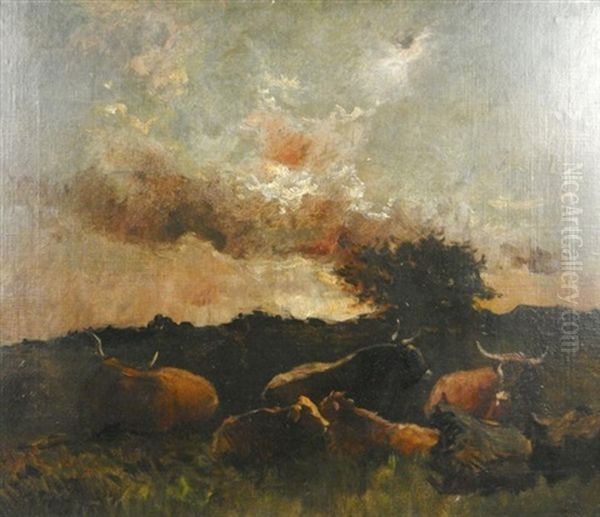 Lagerndes Vieh Auf Der Wiese - view 1