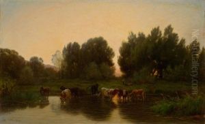 Troupeau De Vaches S'abreuvant