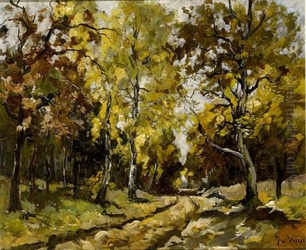 An Autumn Forest - view 1